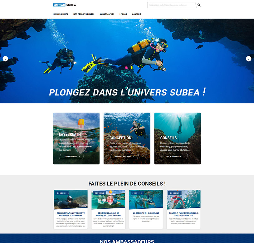 Homepage Subea